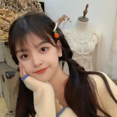 勇者、辞职不干了 OVA